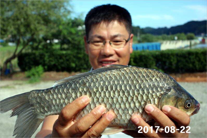 낚 시 강 좌 (유료터정보 - 유료터점주조황)