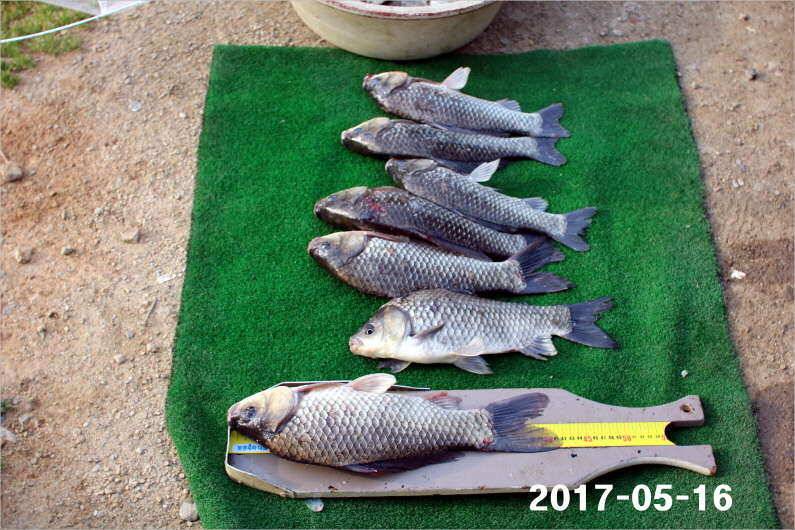 2박 4짜 5마리 (유료터정보 - 유료터점주조황)
