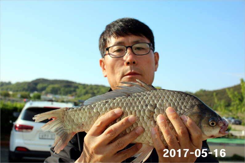 2박 4짜 5마리 (유료터정보 - 유료터점주조황)