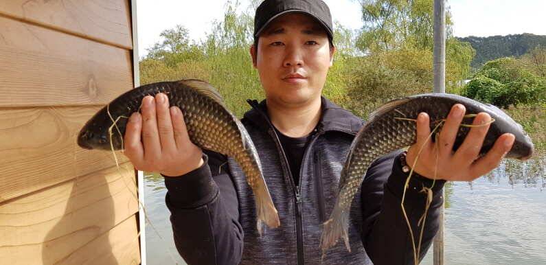 대박조황 오름수위 송전지 수원좌대 (유료터정보 - 유료터점주조황)