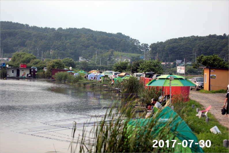 4짜왕 설화수골드4대 (유료터정보 - 유료터점주조황)