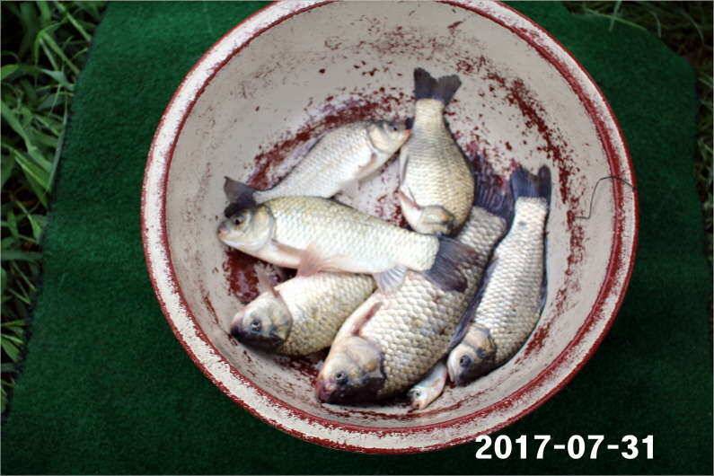 4짜왕 설화수골드4대 (유료터정보 - 유료터점주조황)