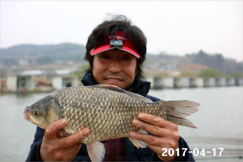 4짜 풍년 (유료터정보 - 유료터점주조황)