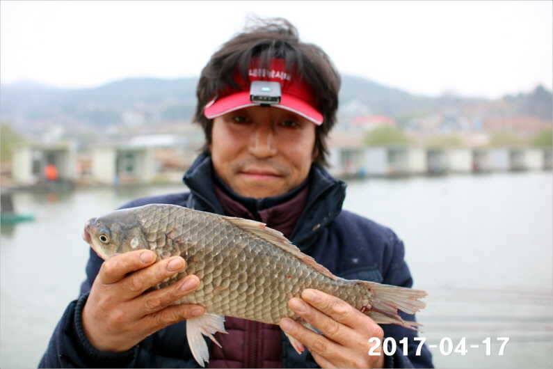 4짜 풍년 (유료터정보 - 유료터점주조황)