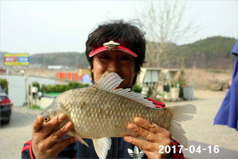 4짜 풍년 (유료터정보 - 유료터점주조황)