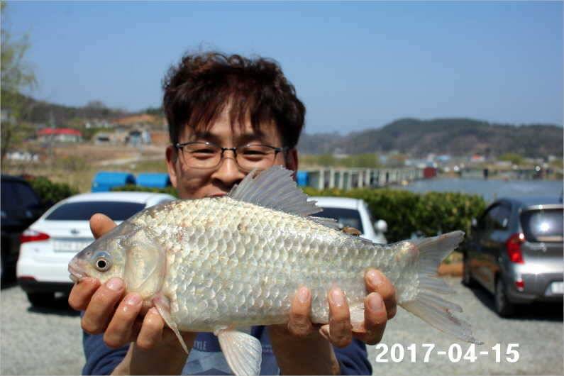 4짜 풍년 (유료터정보 - 유료터점주조황)