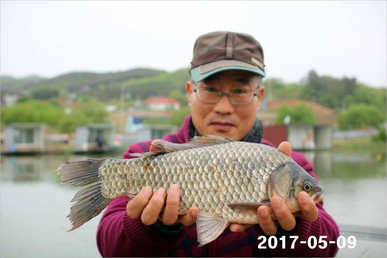 4짜 왕 (유료터정보 - 유료터점주조황)
