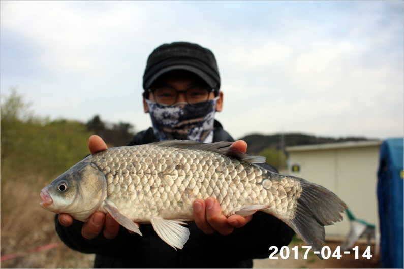 4짜 풍년 (유료터정보 - 유료터점주조황)