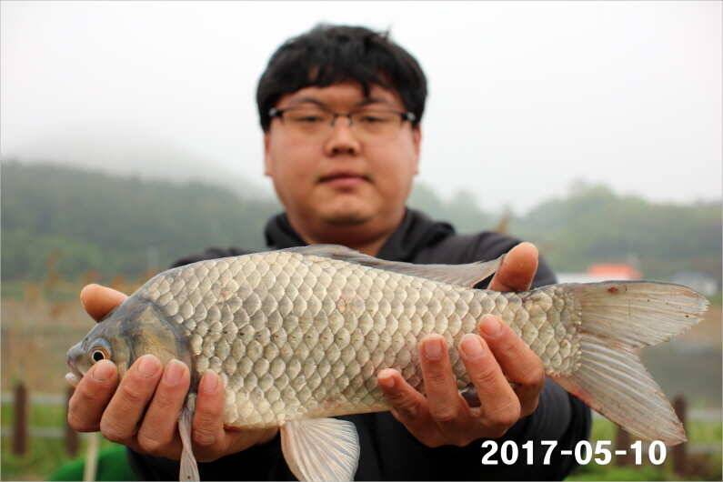 4짜 왕 (유료터정보 - 유료터점주조황)