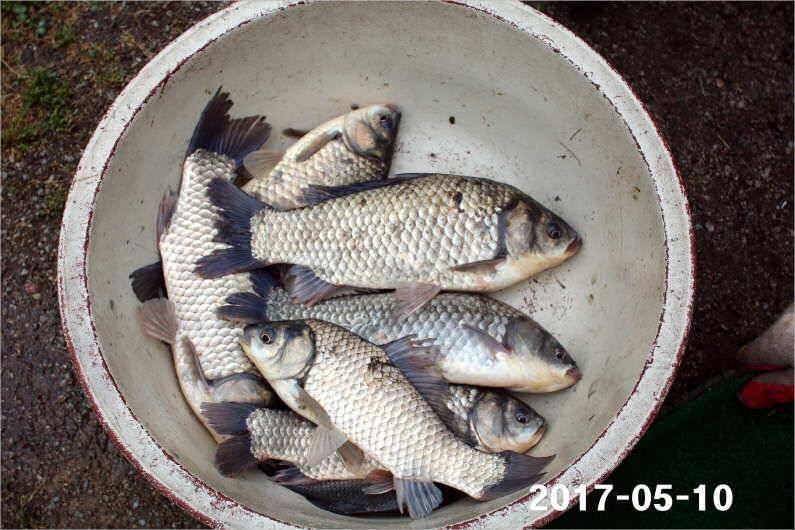 4짜 왕 (유료터정보 - 유료터점주조황)