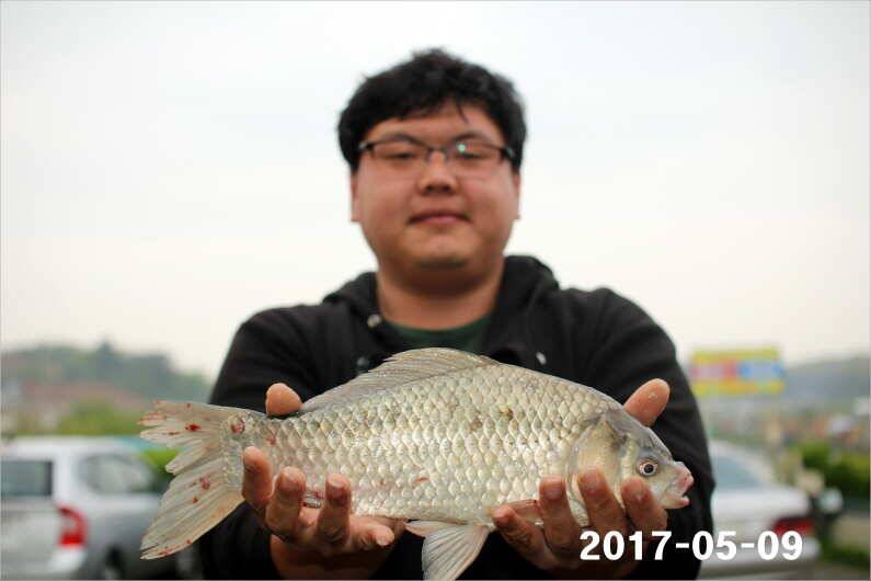 4짜 왕 (유료터정보 - 유료터점주조황)