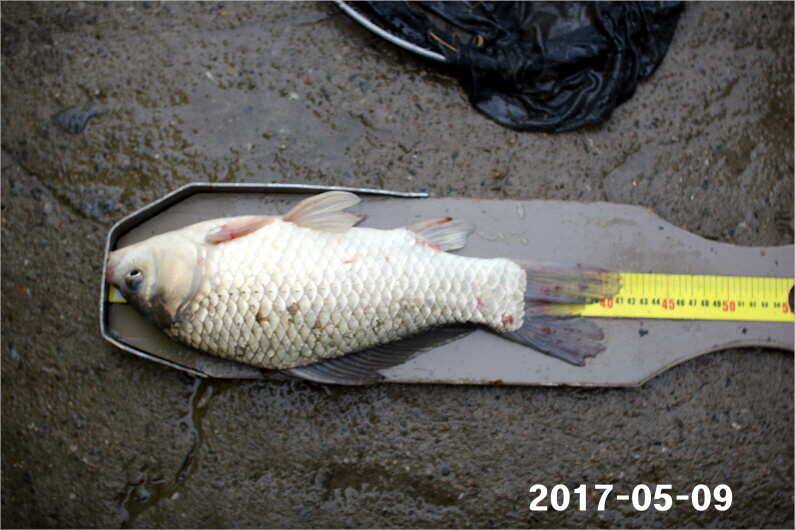 4짜 왕 (유료터정보 - 유료터점주조황)