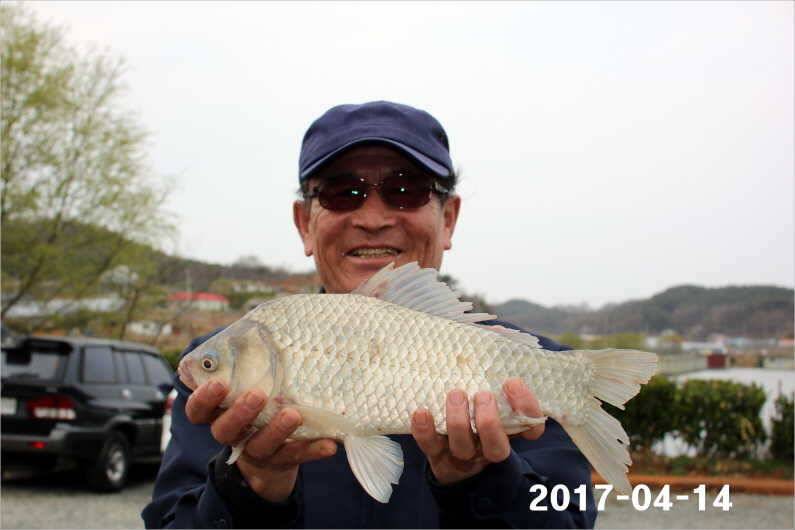 4짜 풍년 (유료터정보 - 유료터점주조황)