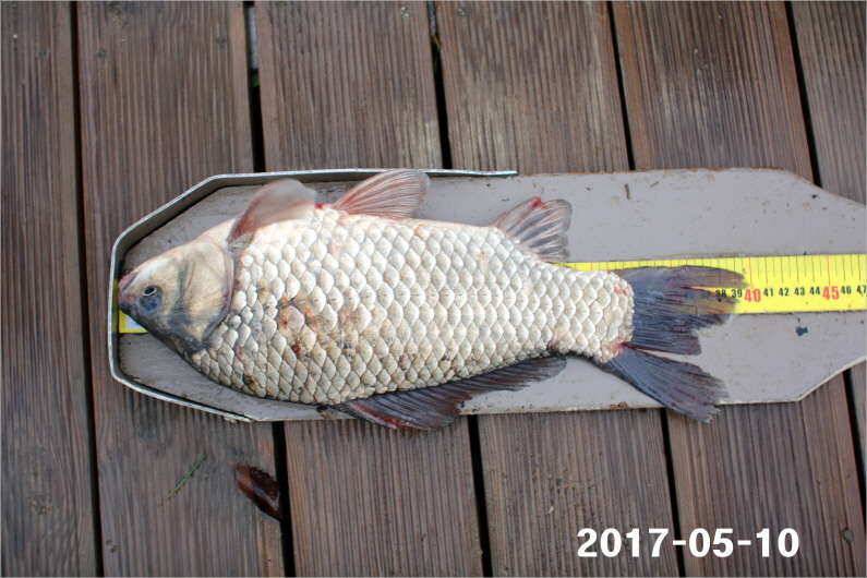 4짜 왕 (유료터정보 - 유료터점주조황)