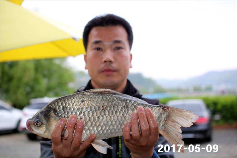 4짜 왕 (유료터정보 - 유료터점주조황)