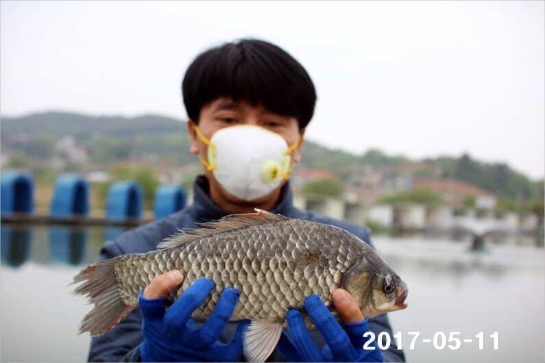 4짜 왕 (유료터정보 - 유료터점주조황)