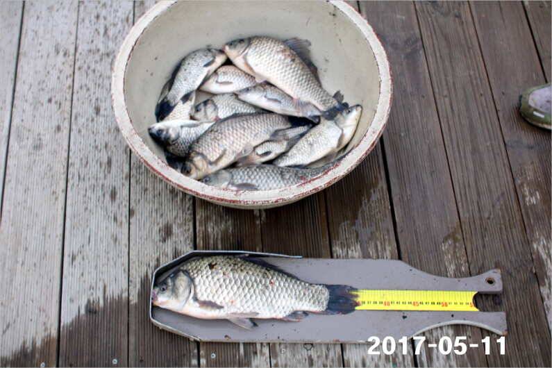 4짜 왕 (유료터정보 - 유료터점주조황)