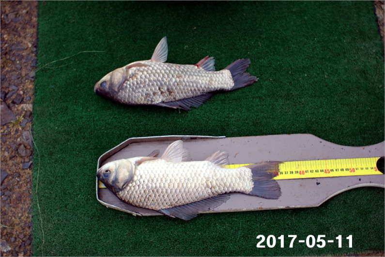 4짜 왕 (유료터정보 - 유료터점주조황)