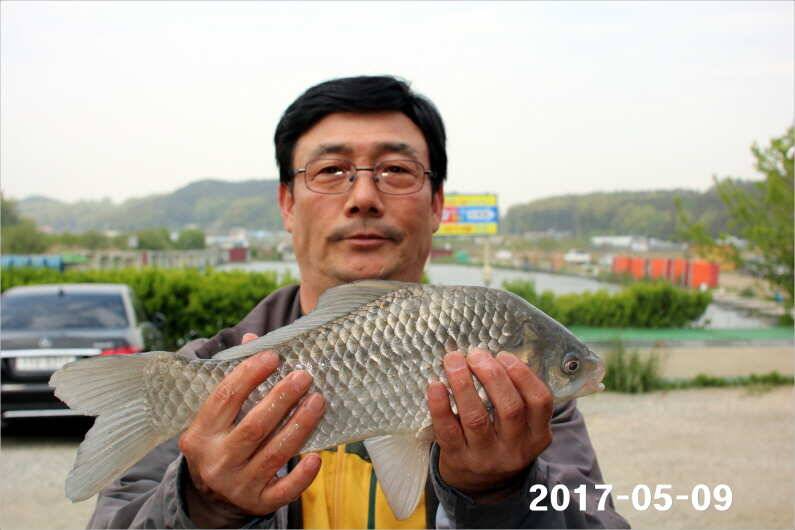 4짜 왕 (유료터정보 - 유료터점주조황)