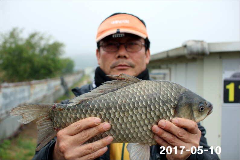 4짜 왕 (유료터정보 - 유료터점주조황)