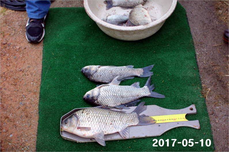 4짜 왕 (유료터정보 - 유료터점주조황)