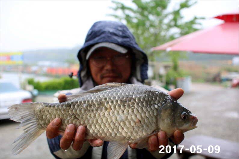 4짜 왕 (유료터정보 - 유료터점주조황)