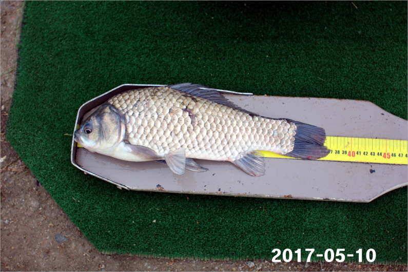 4짜 왕 (유료터정보 - 유료터점주조황)