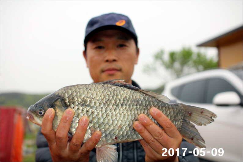 4짜 왕 (유료터정보 - 유료터점주조황)
