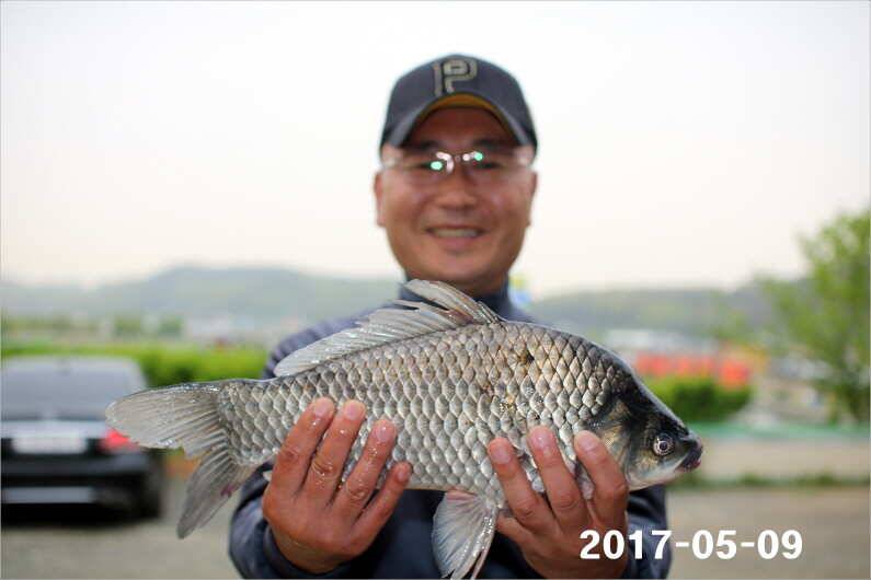 4짜 왕 (유료터정보 - 유료터점주조황)