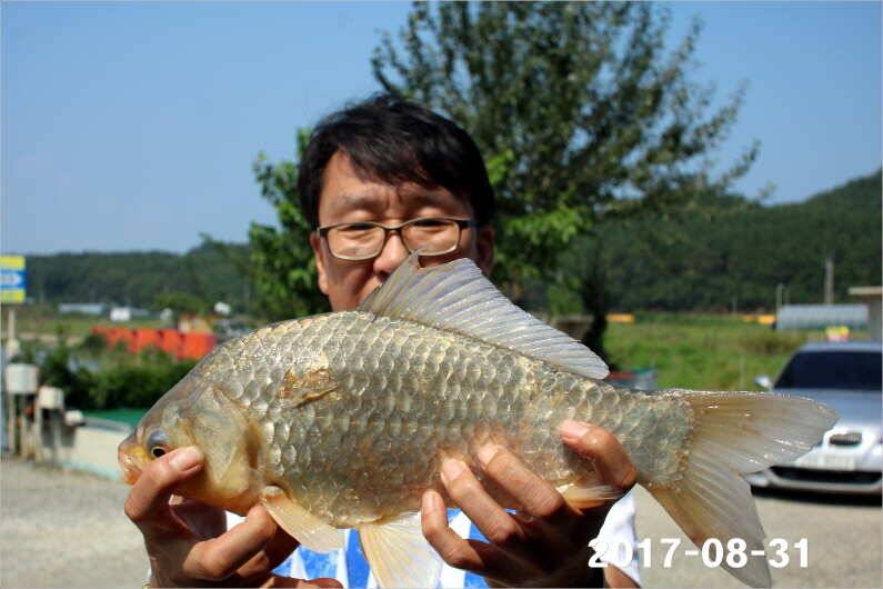 주간 이벤트 주인공 (유료터정보 - 유료터점주조황)