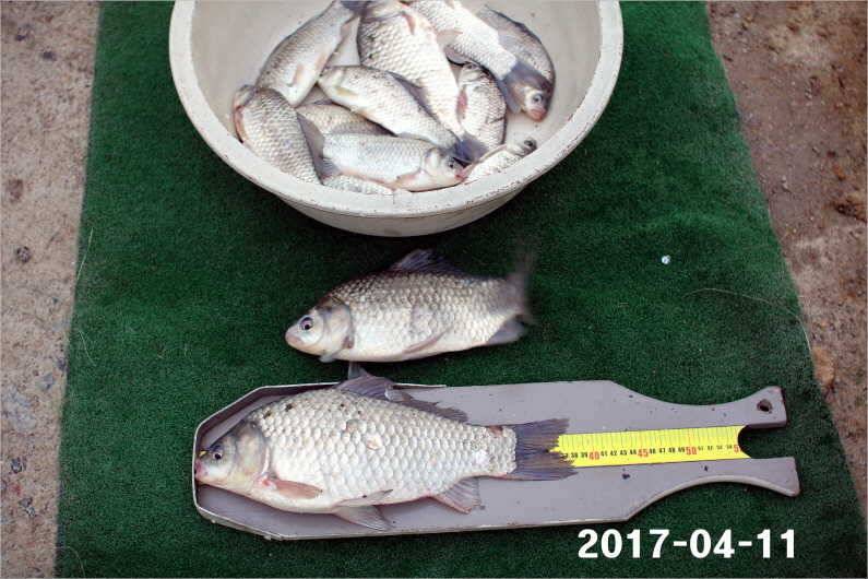 대물 마릿수 재미 (유료터정보 - 유료터점주조황)