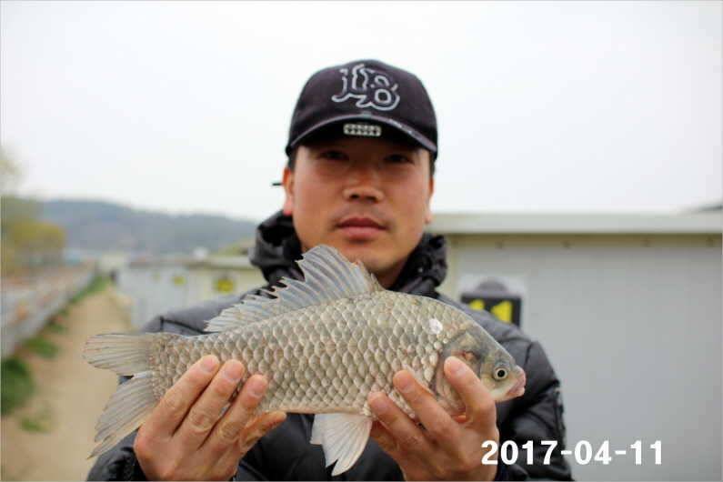 대물 마릿수 재미 (유료터정보 - 유료터점주조황)