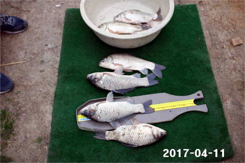 대물 마릿수 재미 (유료터정보 - 유료터점주조황)