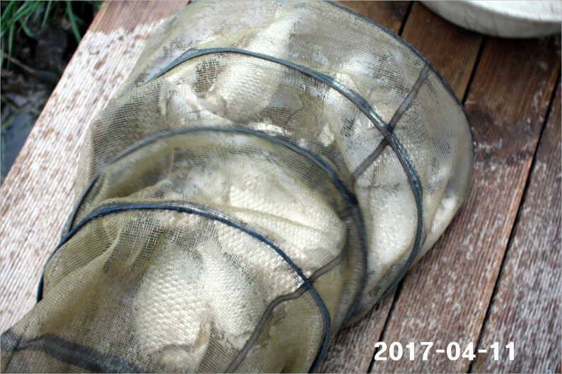 대물 마릿수 재미 (유료터정보 - 유료터점주조황)