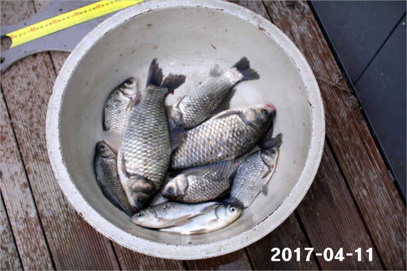 대물 마릿수 재미 (유료터정보 - 유료터점주조황)