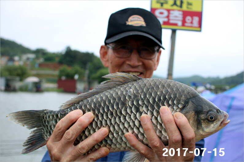 4주년 이모저모 (유료터정보 - 유료터점주조황)