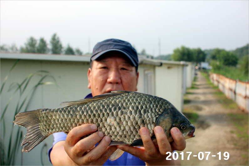 4주년 이모저모 (유료터정보 - 유료터점주조황)