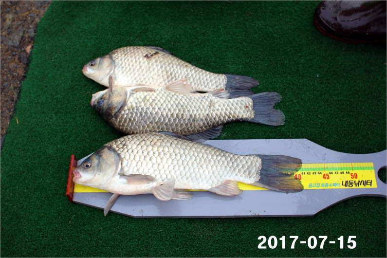 4주년 이모저모 (유료터정보 - 유료터점주조황)