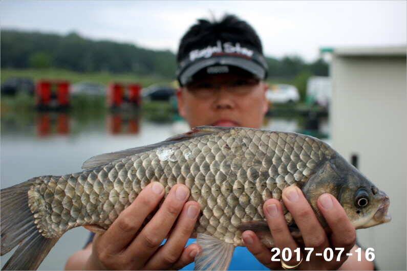 4주년 이모저모 (유료터정보 - 유료터점주조황)