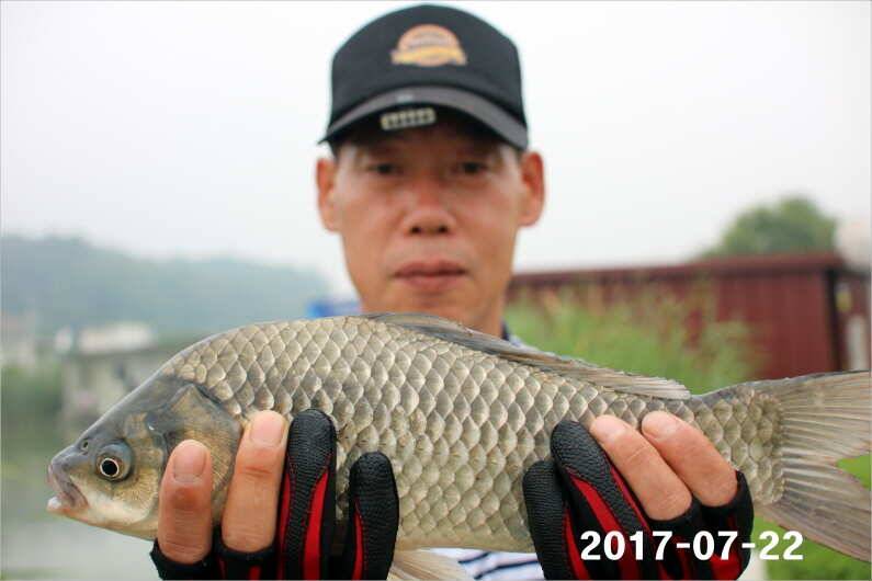 4짜왕 설화수골드3대 (유료터정보 - 유료터점주조황)