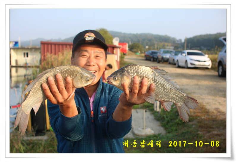 추석 연휴 대박 조황 (유료터정보 - 유료터점주조황)