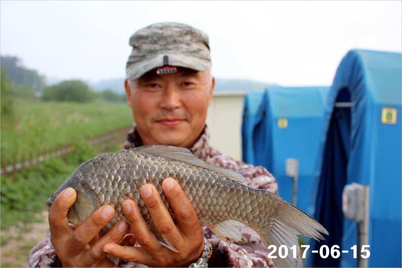 선풍기 틀고 낚시하세요 (유료터정보 - 유료터점주조황)