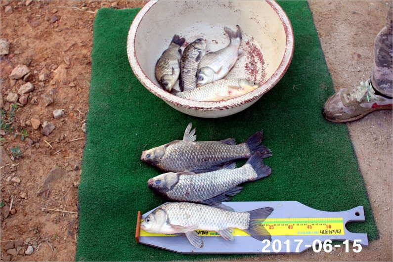 선풍기 틀고 낚시하세요 (유료터정보 - 유료터점주조황)