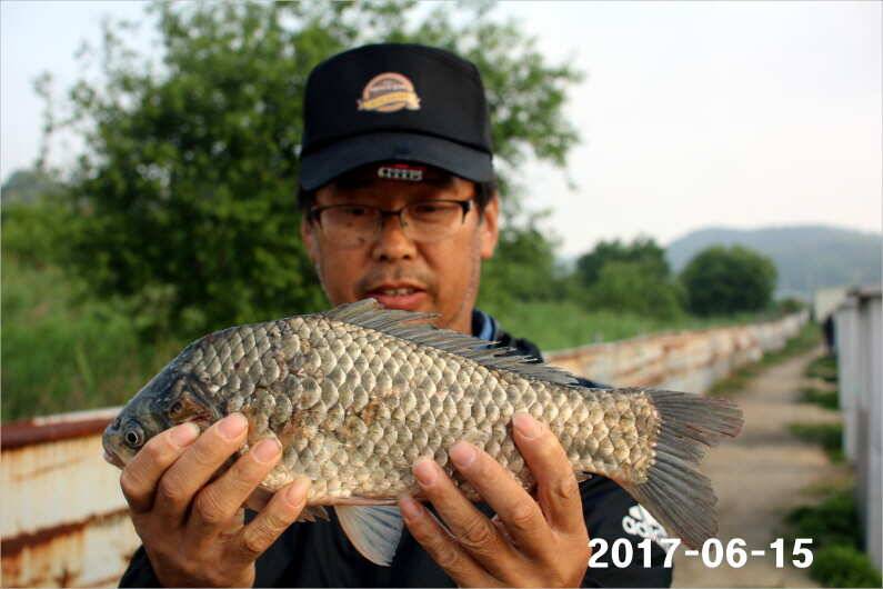 선풍기 틀고 낚시하세요 (유료터정보 - 유료터점주조황)