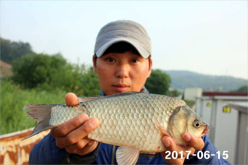 선풍기 틀고 낚시하세요 (유료터정보 - 유료터점주조황)
