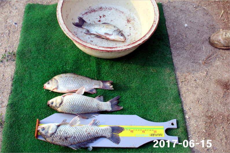 선풍기 틀고 낚시하세요 (유료터정보 - 유료터점주조황)