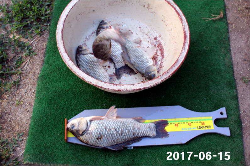 선풍기 틀고 낚시하세요 (유료터정보 - 유료터점주조황)