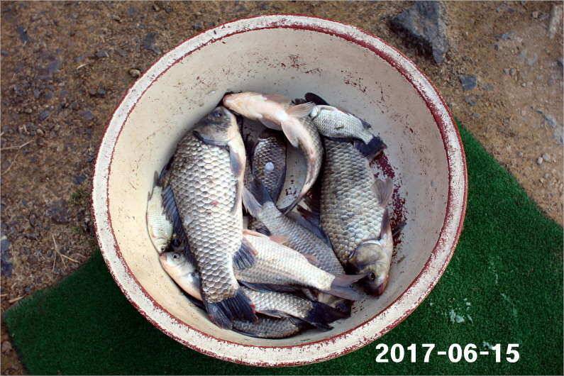 선풍기 틀고 낚시하세요 (유료터정보 - 유료터점주조황)