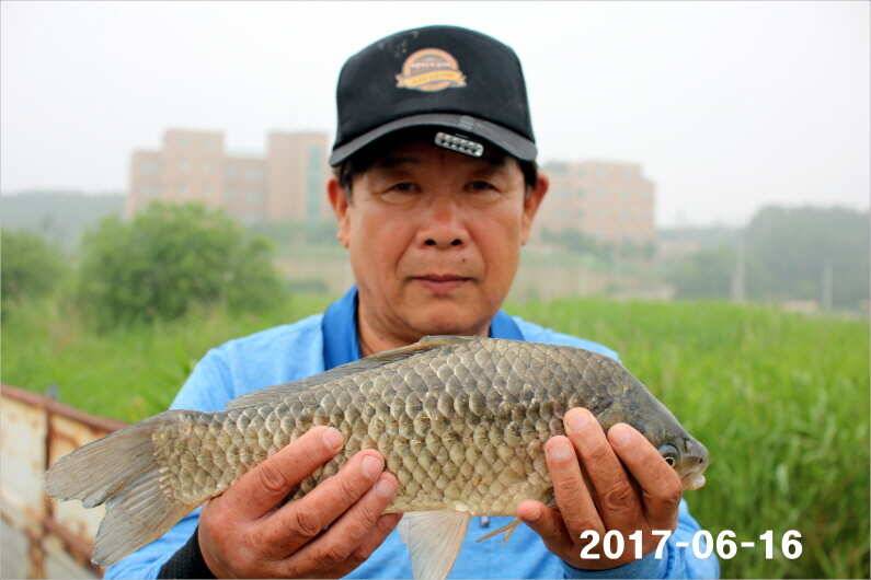 선풍기 틀고 낚시하세요 (유료터정보 - 유료터점주조황)