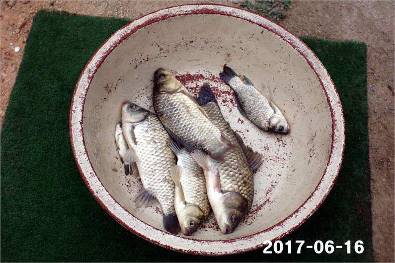 선풍기 틀고 낚시하세요 (유료터정보 - 유료터점주조황)